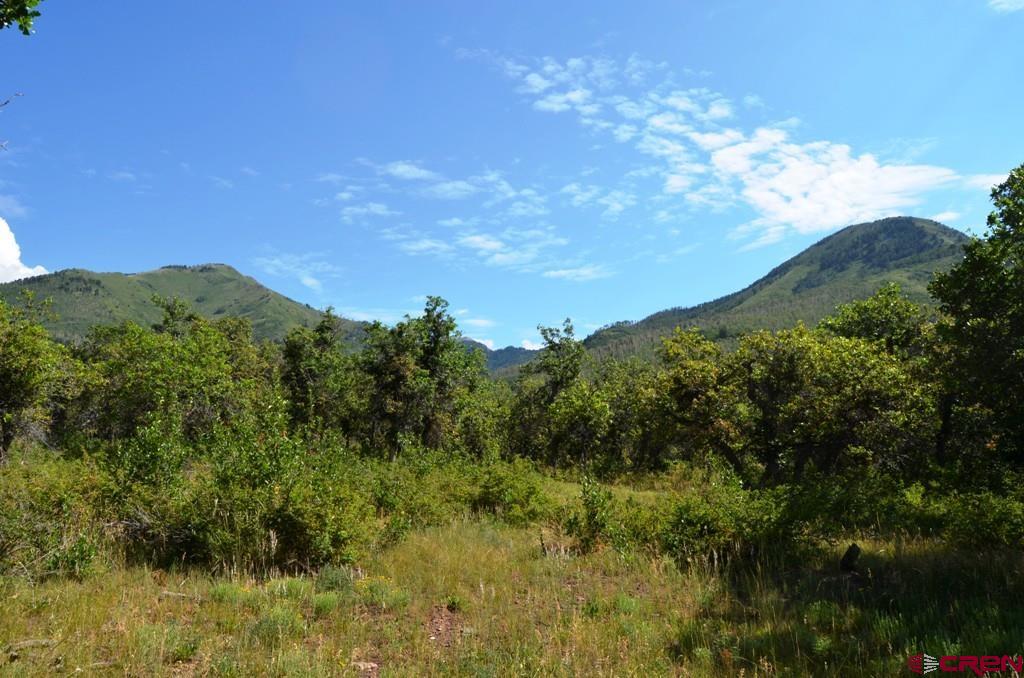 660 Winding River Road Durango, CO 81301 - Photo 7 of 29 a view of a mountain