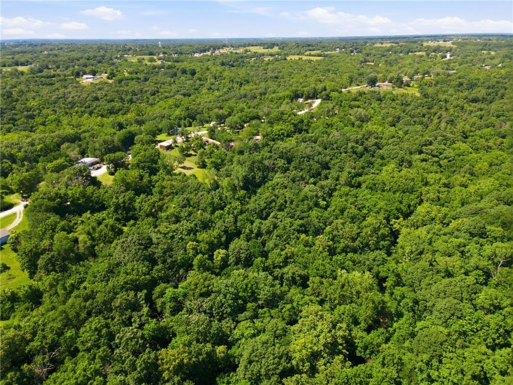 12500 Klatt Road Excelsior Springs, MO 64024 - Photo 5 of 14