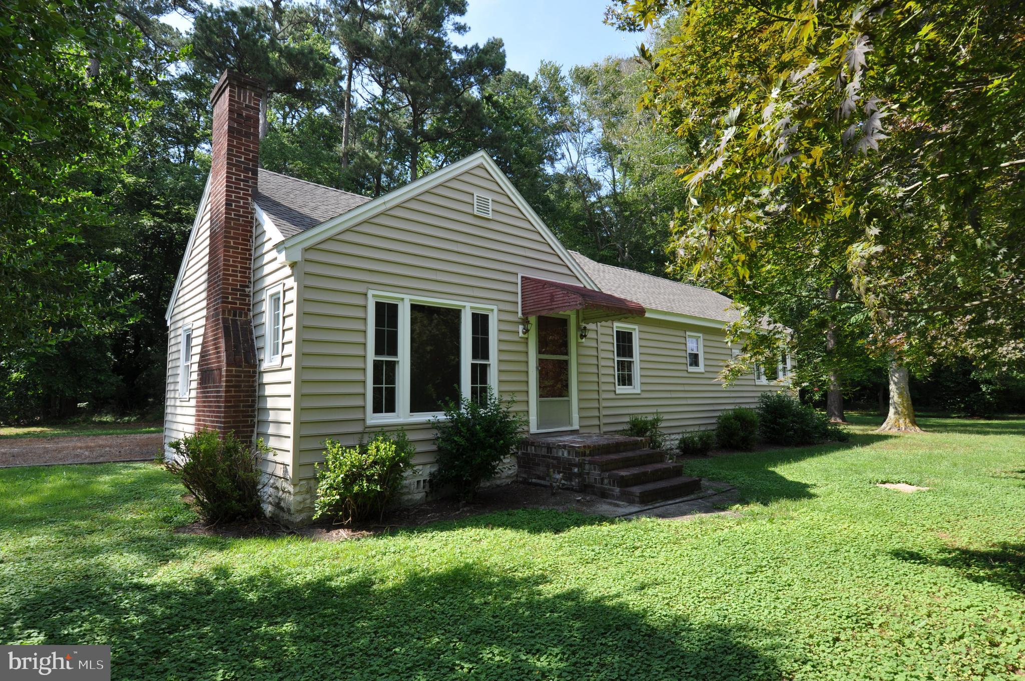 635 Cedar Hall Road Pocomoke City, MD 21851 - Photo 1 of 48 a view of a house with a yard plants and large tree
