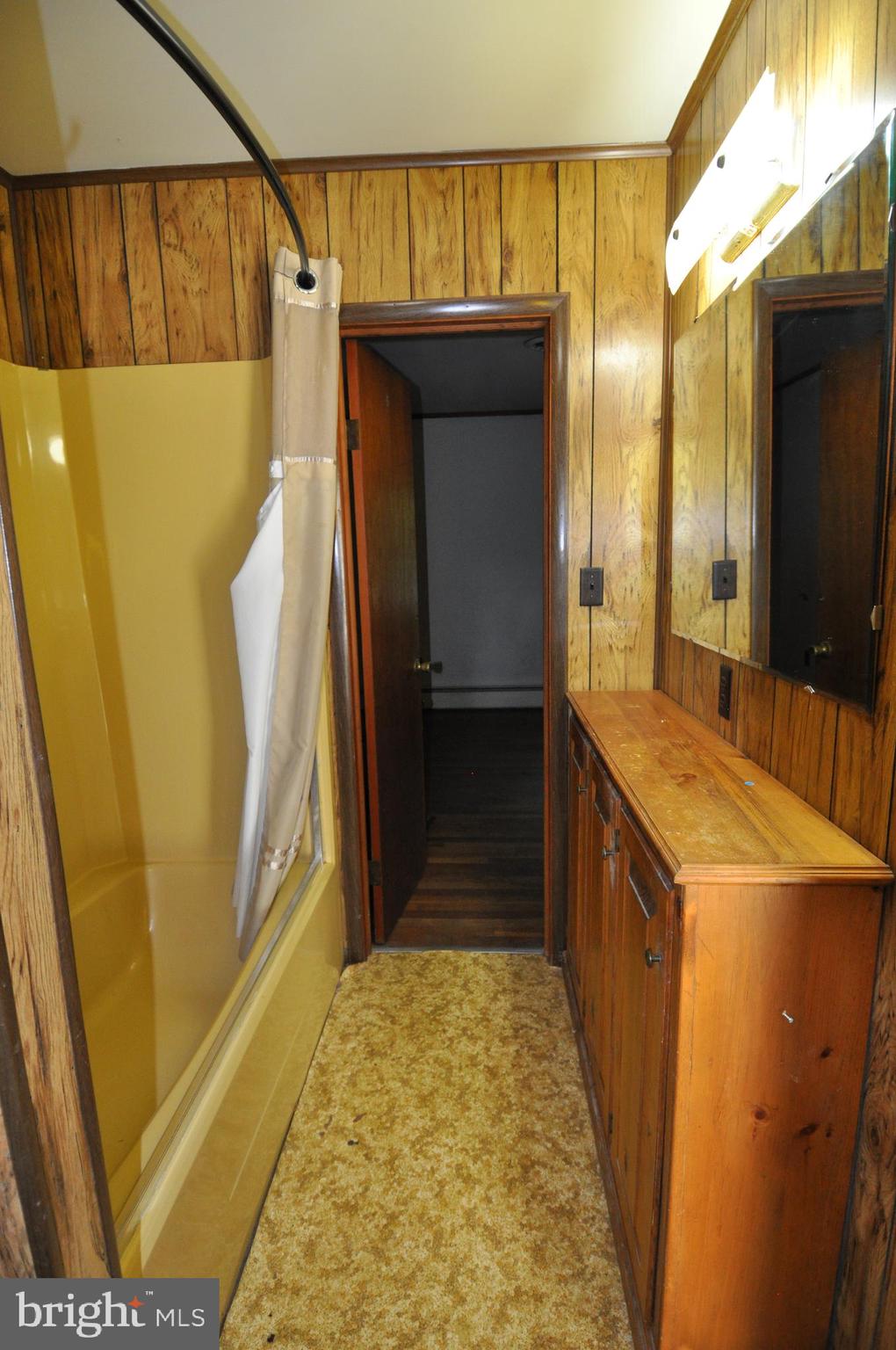 635 Cedar Hall Road Pocomoke City, MD 21851 - Photo 33 of 48 a bathroom with a sink and a mirror