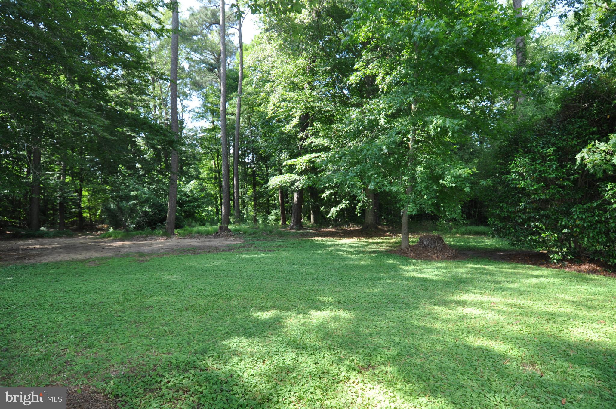 635 Cedar Hall Road Pocomoke City, MD 21851 - Photo 43 of 48 a view of a park that has large trees