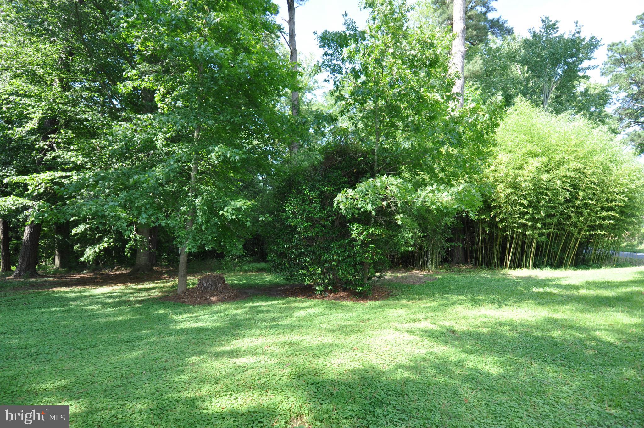635 Cedar Hall Road Pocomoke City, MD 21851 - Photo 44 of 48 a view of outdoor space with deck and yard