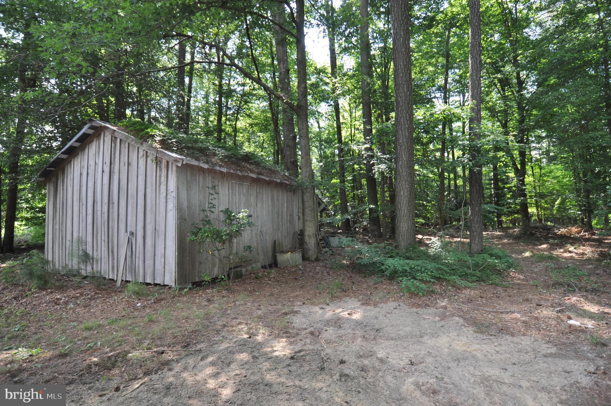 635 Cedar Hall Road Pocomoke City, MD 21851 - Photo 47 of 48 a backyard of a house with lots of green space