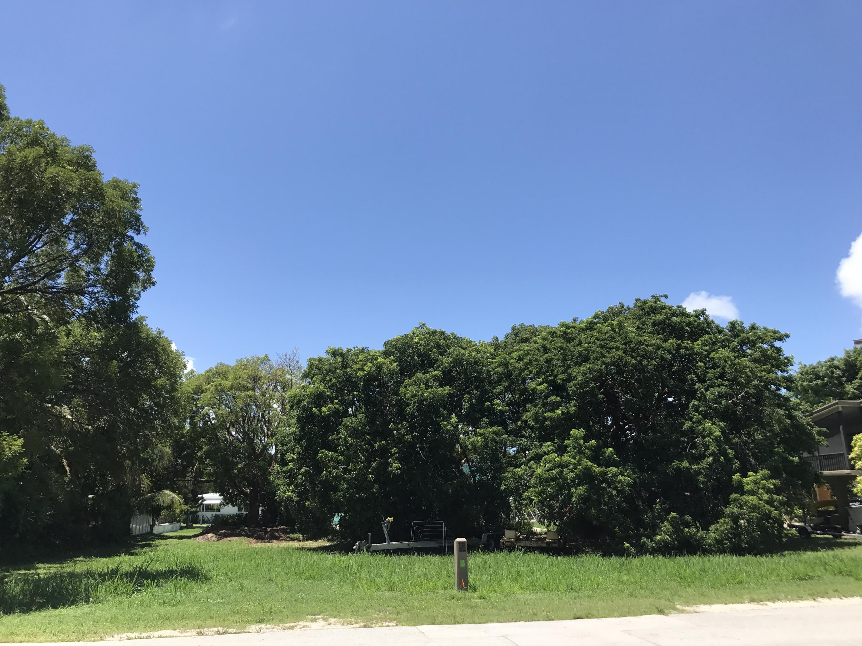 Snapper Ave Key Key Largo, FL 33037 - Photo 1 of 3 picture