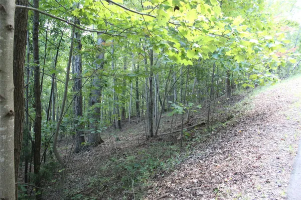 $52,260 | 0 Azule Ridge Drive, Bostic, NC 28018