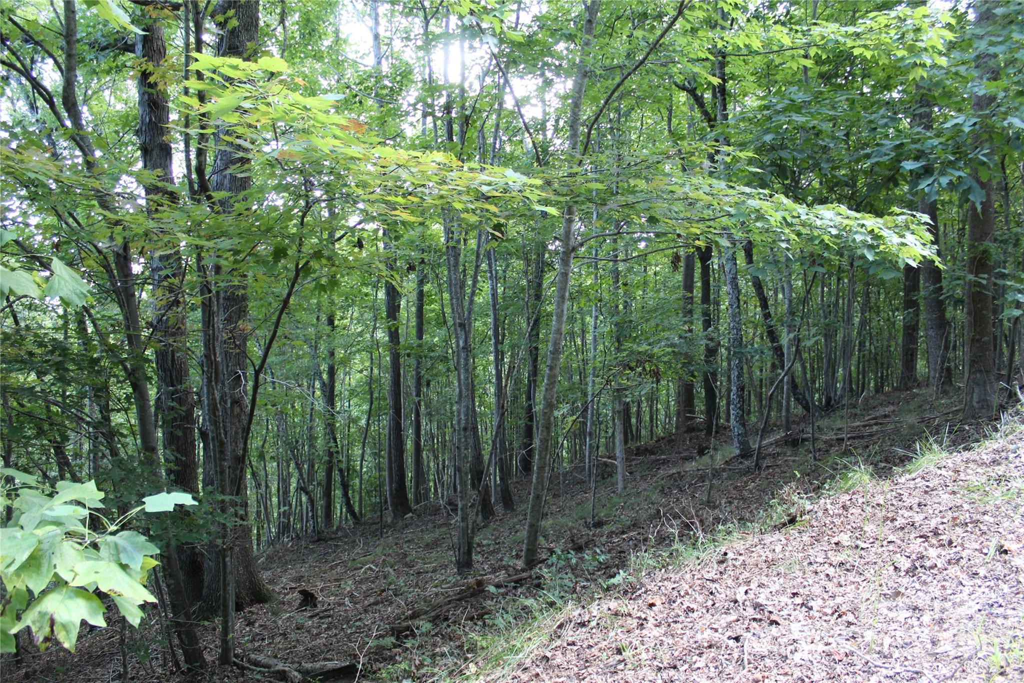 0 Azule Ridge Drive Bostic, NC 28018 - Photo 2 of 7