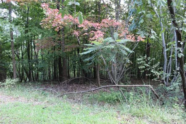$52,260 | 0 Azule Ridge Drive, Bostic, NC 28018