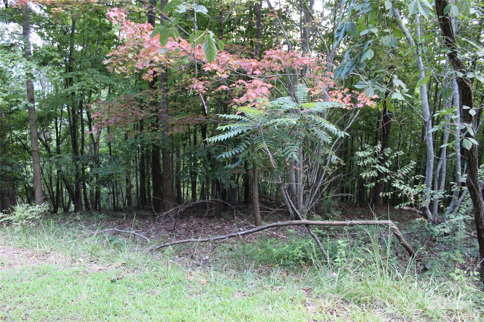 0 Azule Ridge Drive Bostic, NC 28018 - Photo 3 of 7