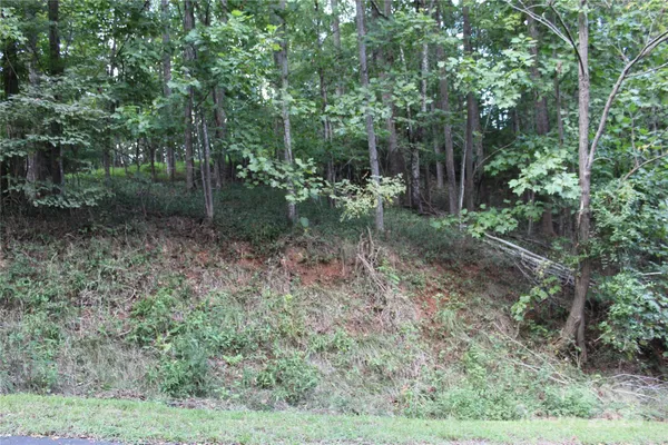 $52,260 | 0 Azule Ridge Drive, Bostic, NC 28018