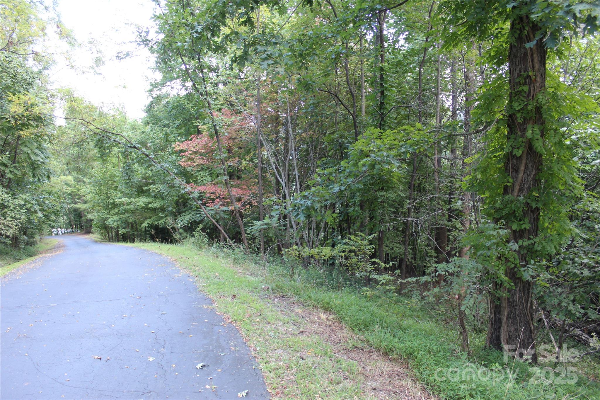 0 Azule Ridge Drive Bostic, NC 28018 - Photo 5 of 7