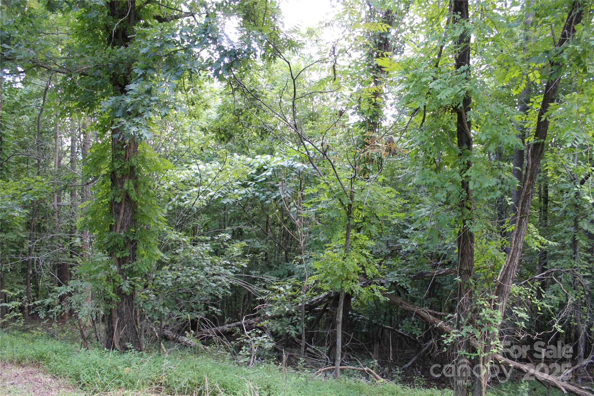 0 Azule Ridge Drive Bostic, NC 28018 - Photo 6 of 7