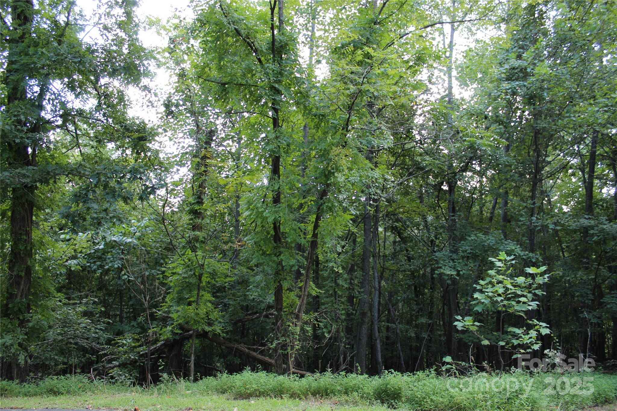 0 Azule Ridge Drive Bostic, NC 28018 - Photo 7 of 7