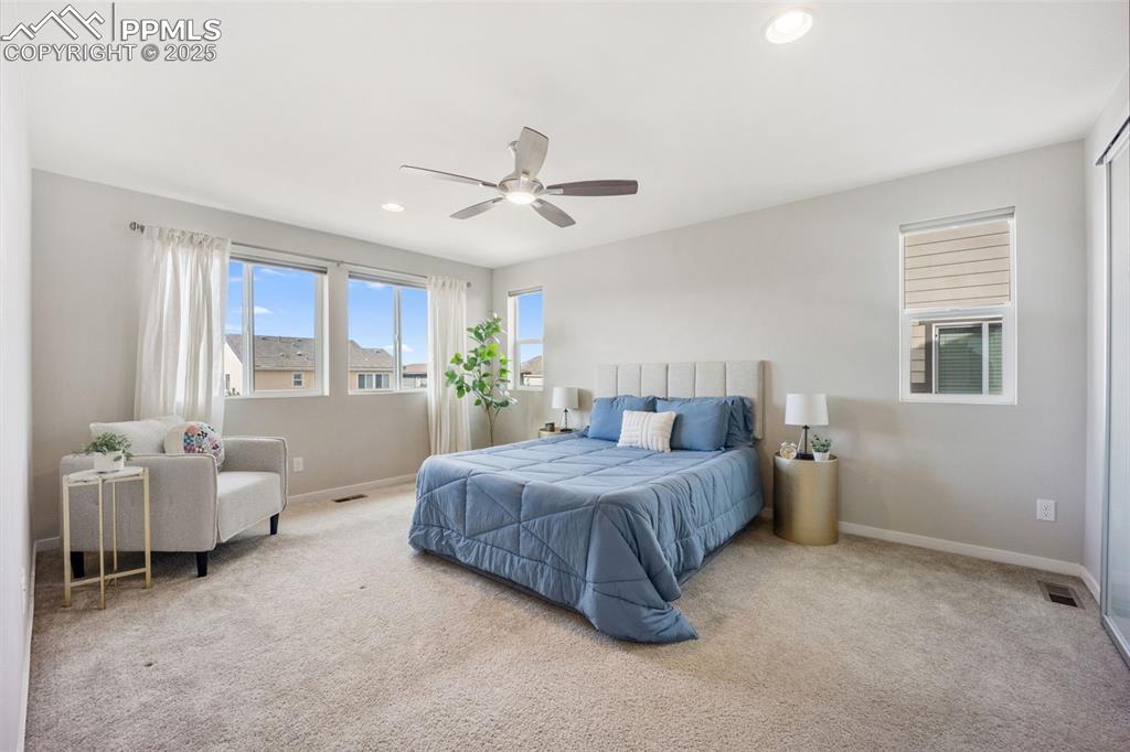 10934 Touchstone Loop Parker, CO 80134 - Photo 14 of 50 Primary Suite