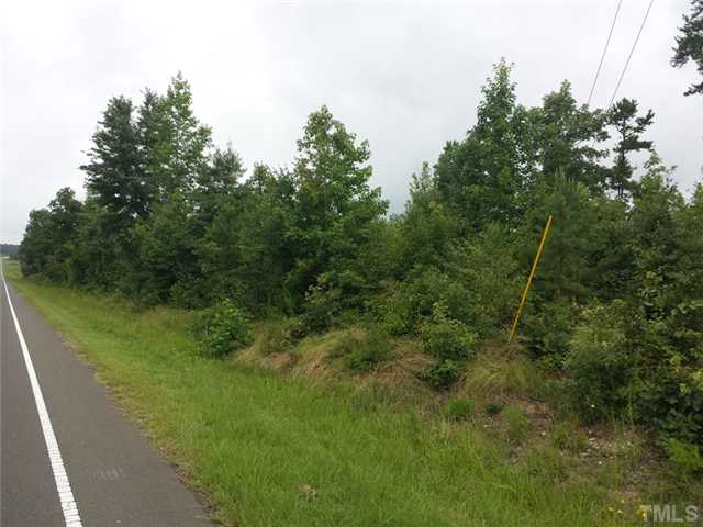 0 Cates Mill Road, Unit 1 Timberlake, NC 27583 - Photo 2 of 4 a view of a lush green forest with lots of trees