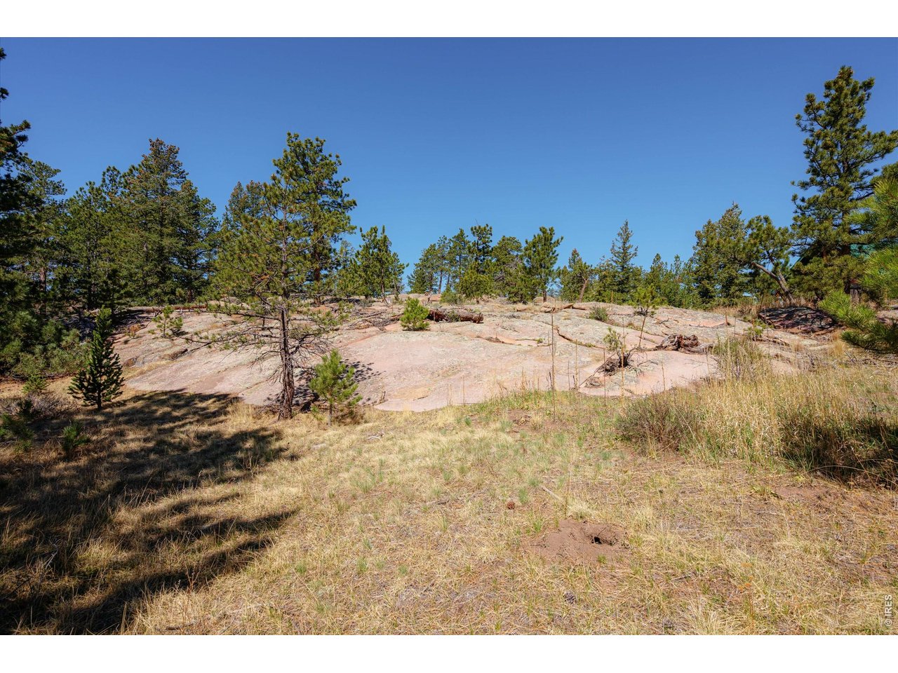 255 Elk Park Road Livermore, CO 80536 - Photo 37 of 43