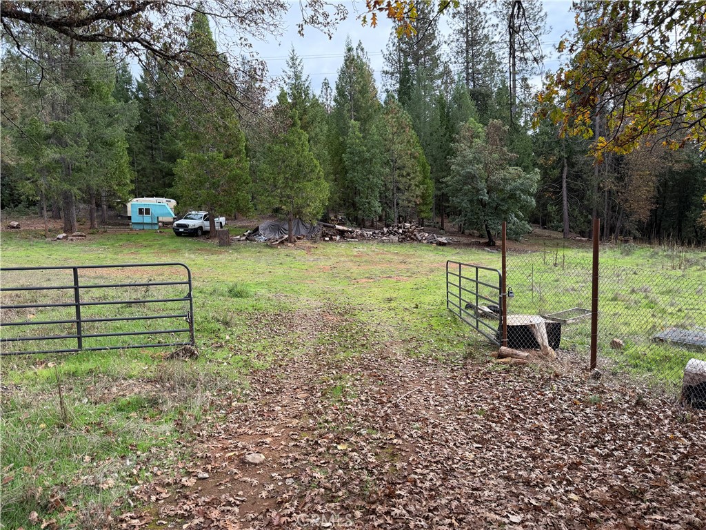 a view of a park with large trees