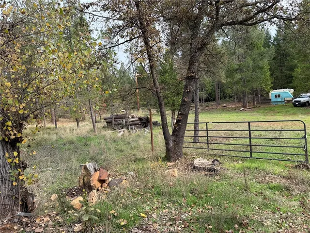 a view of a park that has large trees