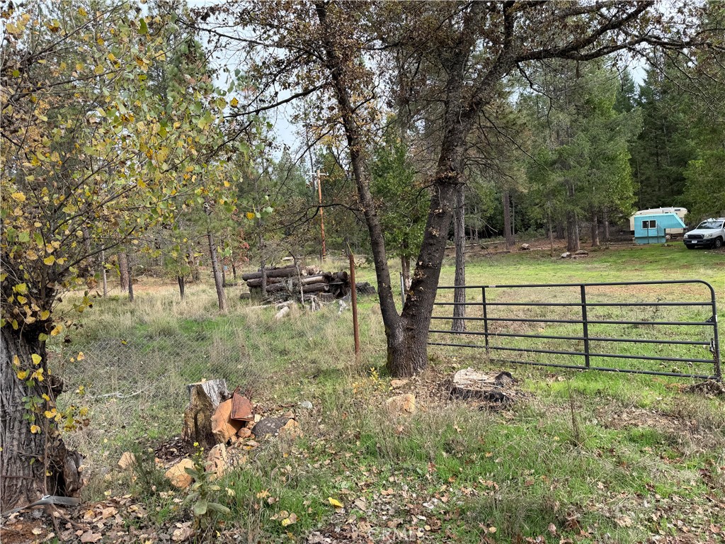 8890 La Porte Road Brownsville, CA 95919 - Photo 2 of 8 a view of a park that has large trees