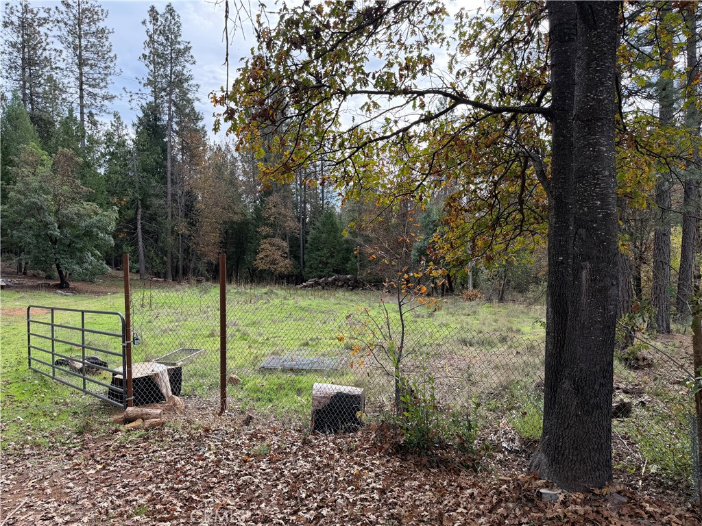 8890 La Porte Road Brownsville, CA 95919 - Photo 3 of 8 a view of a garden with a tree