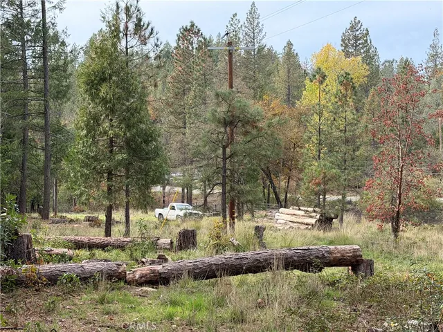 a view of a park with large trees