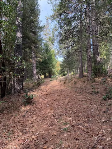 a view of backyard with green space