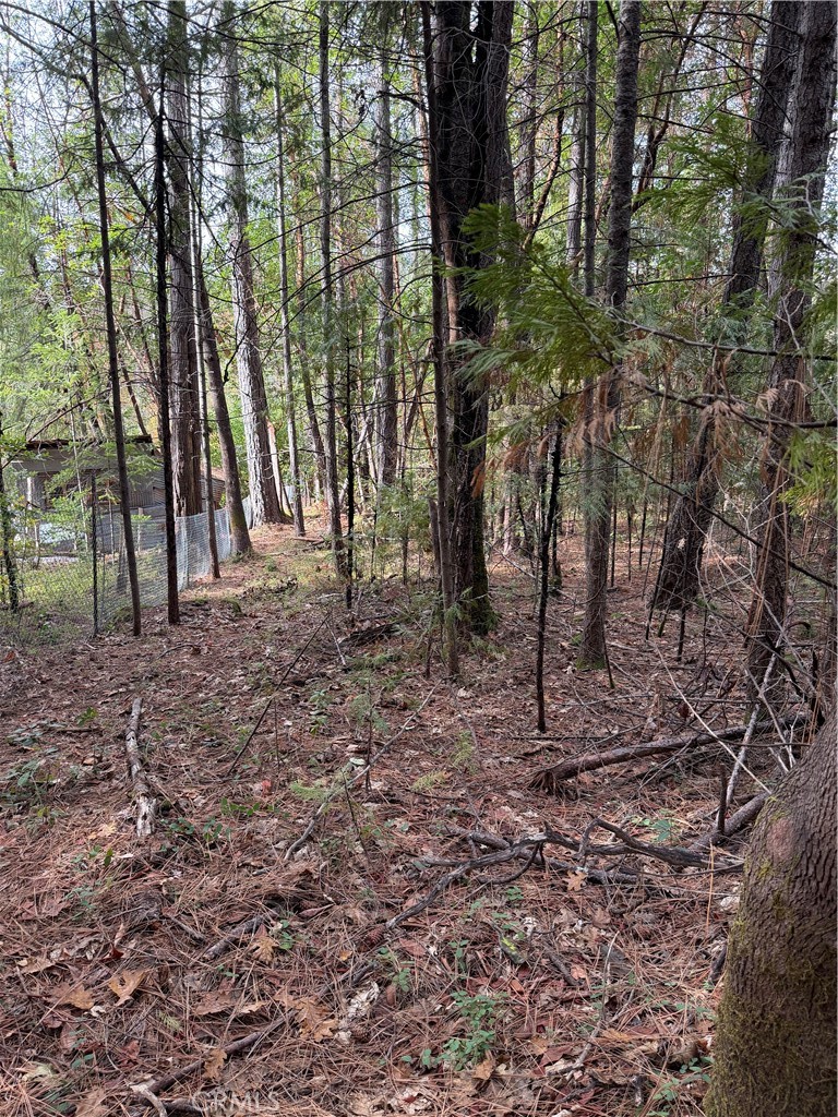 8890 La Porte Road Brownsville, CA 95919 - Photo 7 of 8 a view of a forest with trees