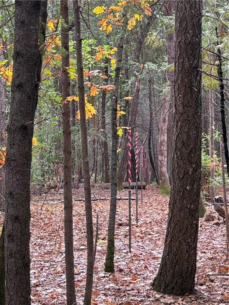 8890 La Porte Road Brownsville, CA 95919 - Photo 8 of 8 a view of outdoor space