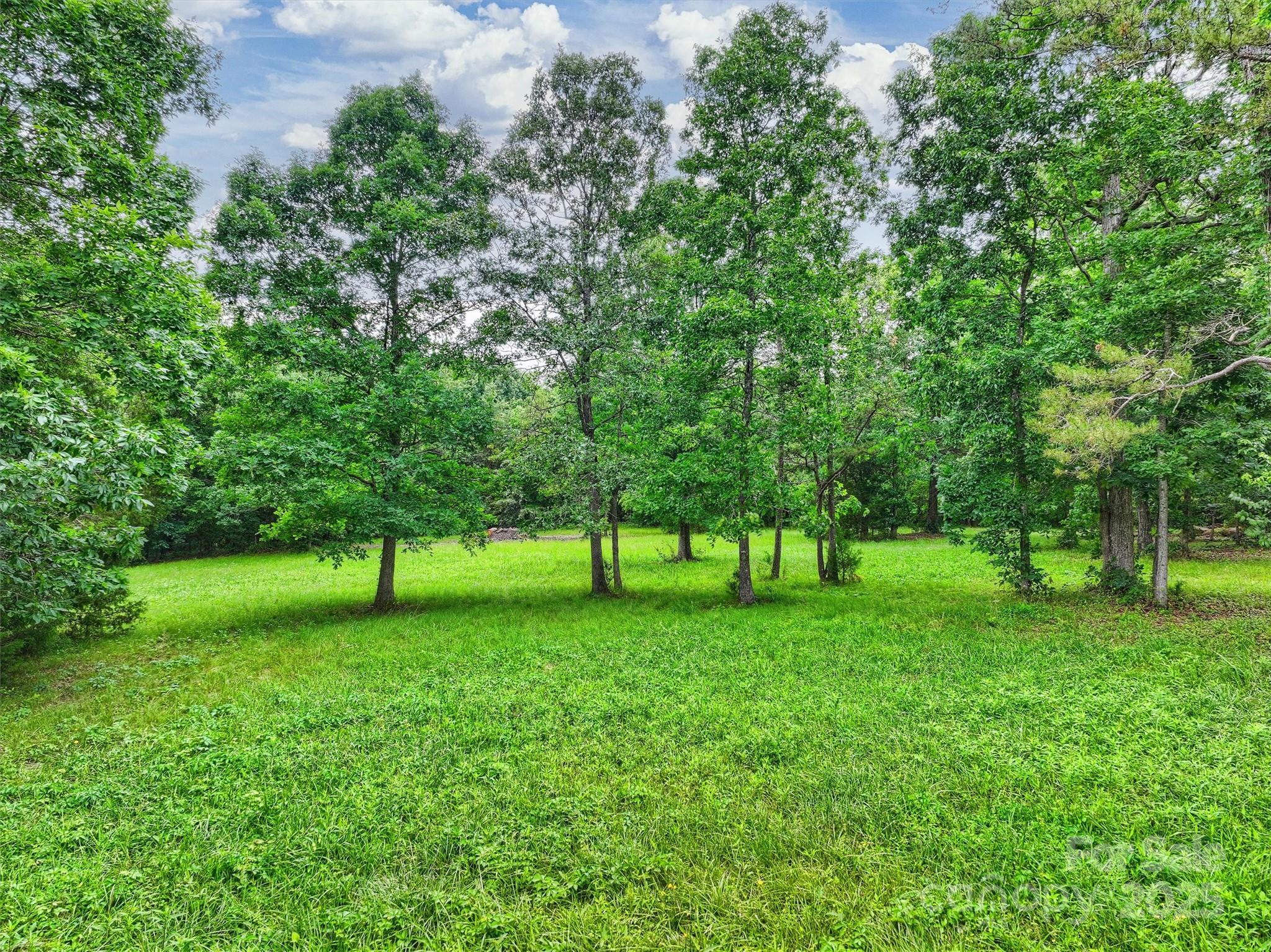 0 Concord Highway Monroe, NC 28110 - Photo 8 of 13