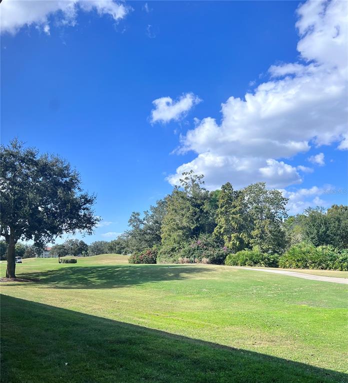6501 Stone River Road, Unit 203 Bradenton, FL 34203 - Photo 25 of 45 a view of a big yard with a large trees