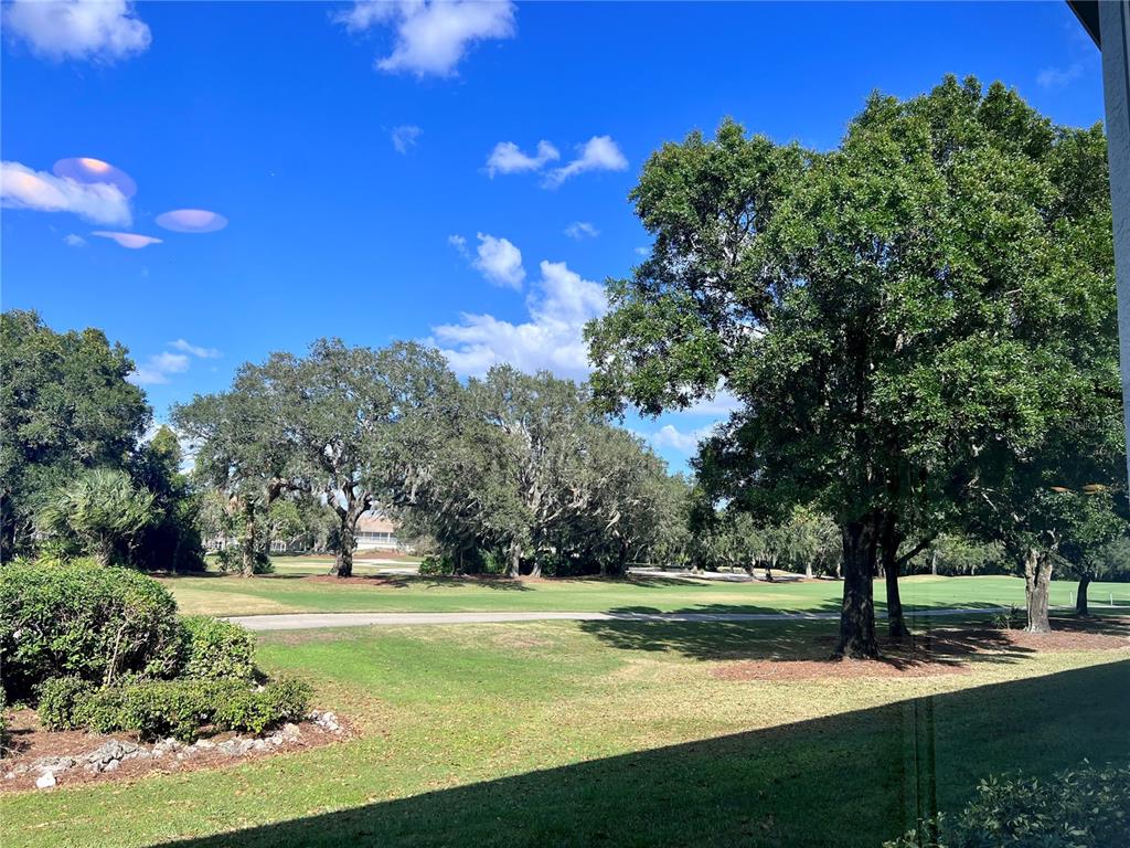 6501 Stone River Road, Unit 203 Bradenton, FL 34203 - Photo 27 of 45 a view of a park with large trees
