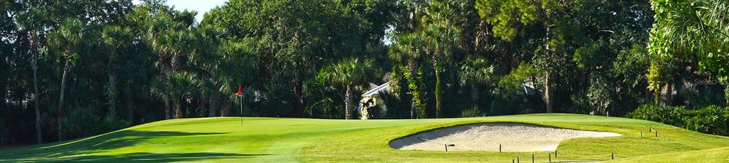 6501 Stone River Road, Unit 203 Bradenton, FL 34203 - Photo 43 of 45 a view of a swimming pool with a yard