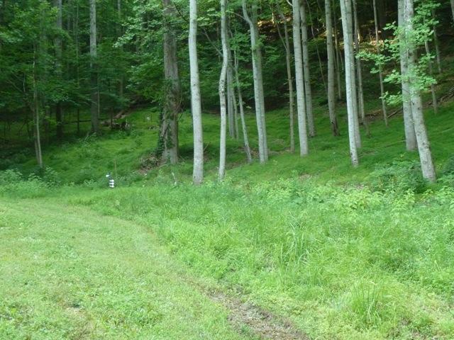 884 Griffith Hill Road Ferrum, VA 24088 - Photo 24 of 25 25 Property
