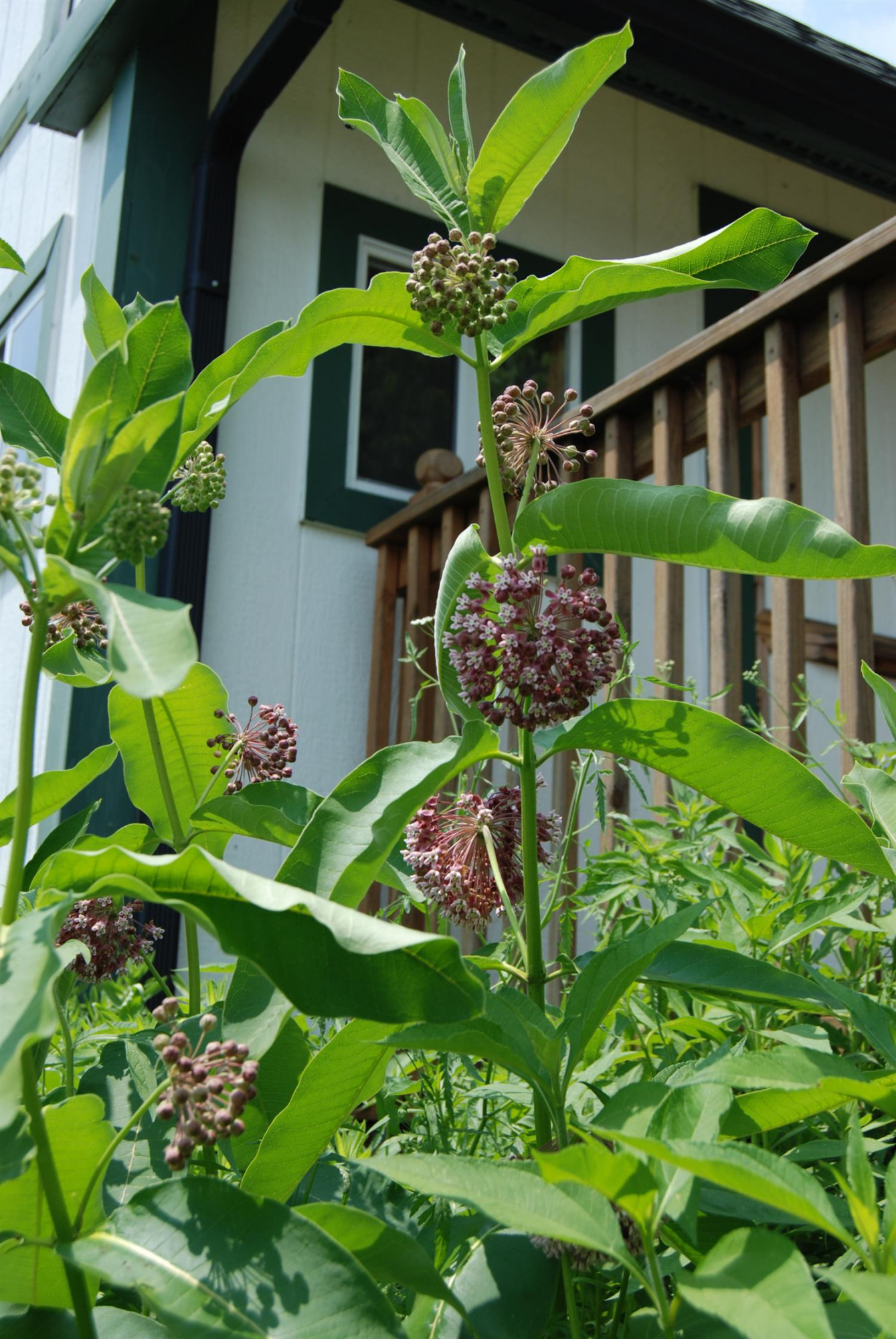 160 Soards Road Georgetown, KY 40324 - Photo 25 of 43 Photo 25