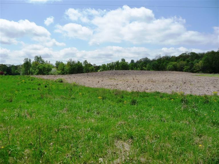 16081 Wellwood Road Tipton, MI 49287 - Photo 4 of 4 Photo 4