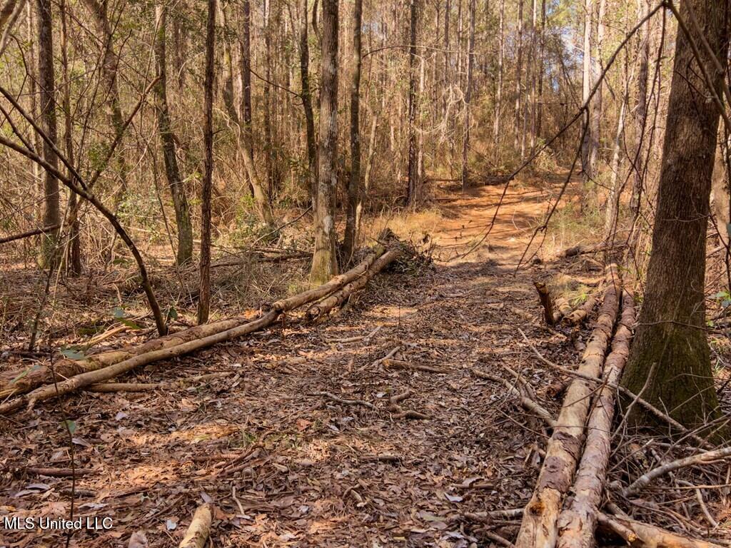 24 Nelson Road Poplarville, MS 39470 - Photo 12 of 43 12