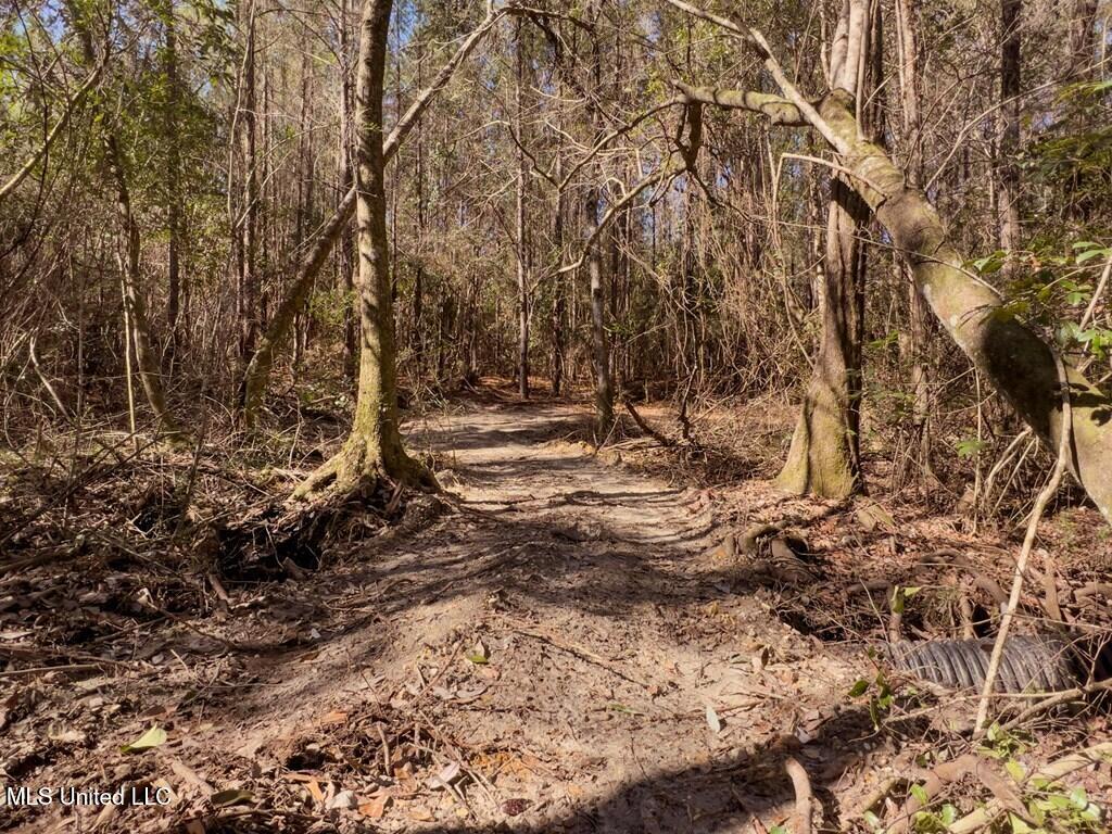 24 Nelson Road Poplarville, MS 39470 - Photo 13 of 43 13