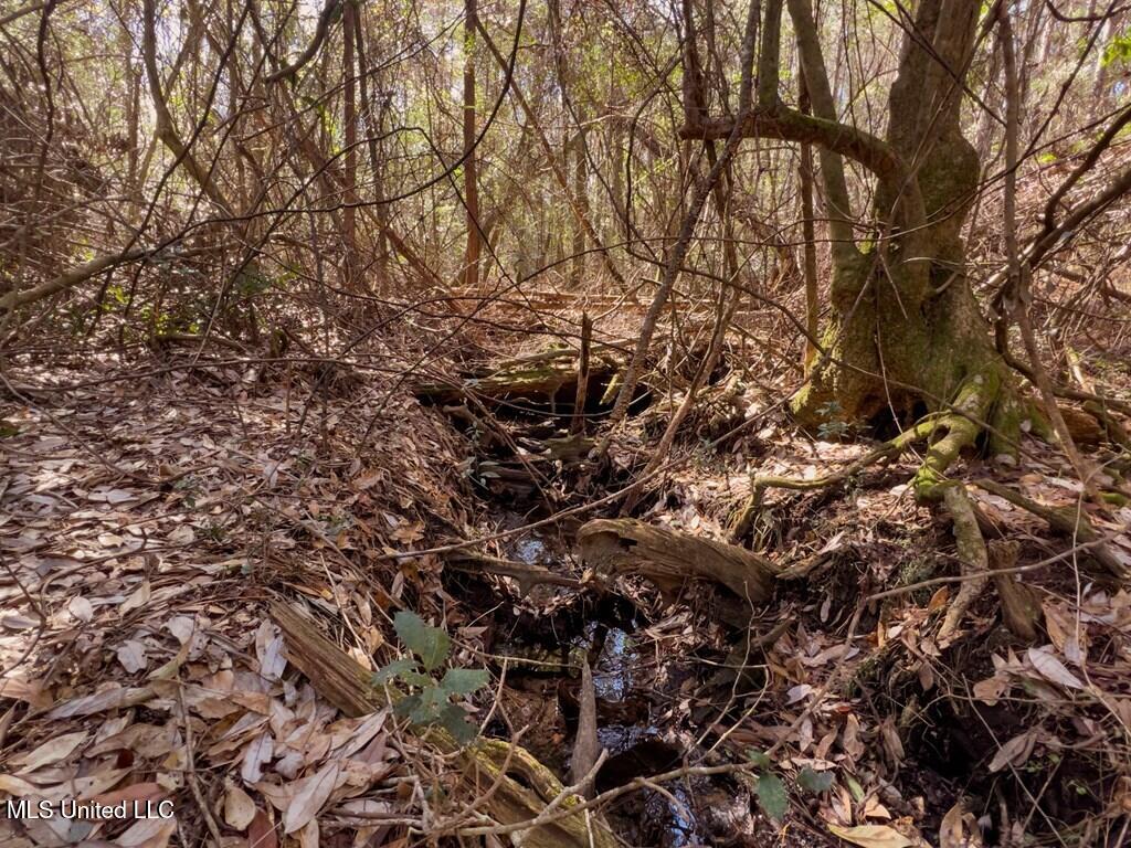 24 Nelson Road Poplarville, MS 39470 - Photo 15 of 43 15