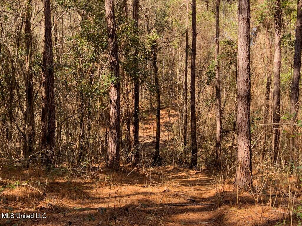 24 Nelson Road Poplarville, MS 39470 - Photo 18 of 43 18