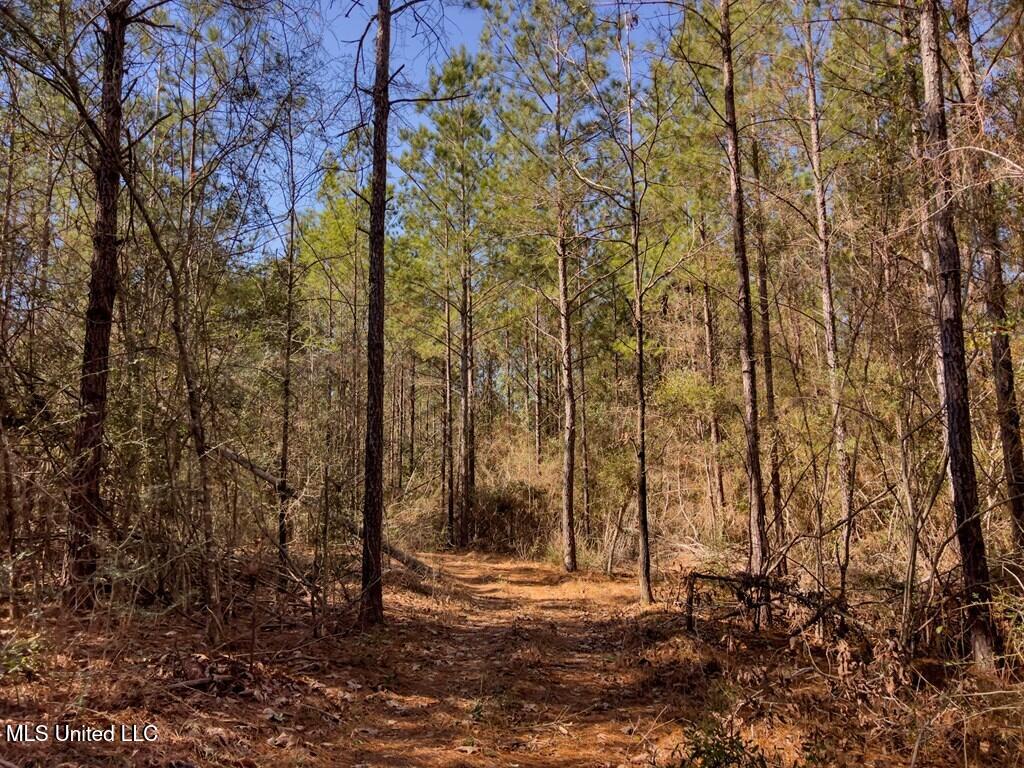 24 Nelson Road Poplarville, MS 39470 - Photo 20 of 43 20