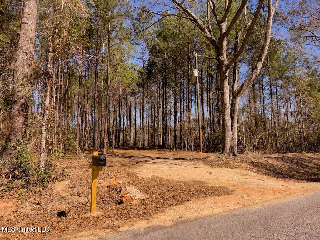 24 Nelson Road Poplarville, MS 39470 - Photo 2 of 43 2