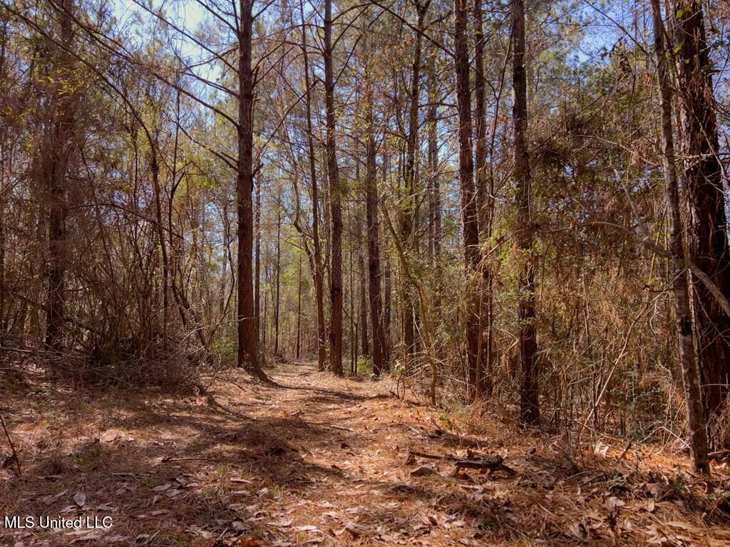 24 Nelson Road Poplarville, MS 39470 - Photo 21 of 43 21