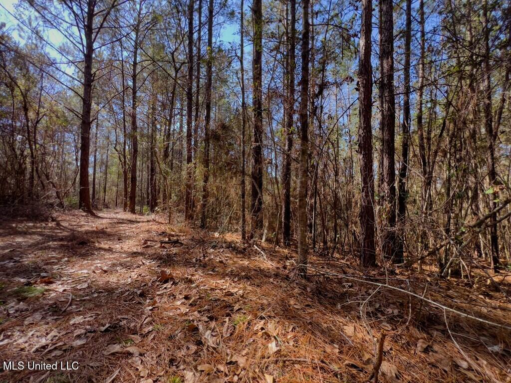 24 Nelson Road Poplarville, MS 39470 - Photo 22 of 43 22