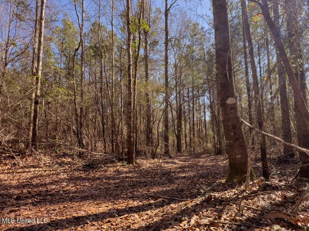 24 Nelson Road Poplarville, MS 39470 - Photo 23 of 43 23