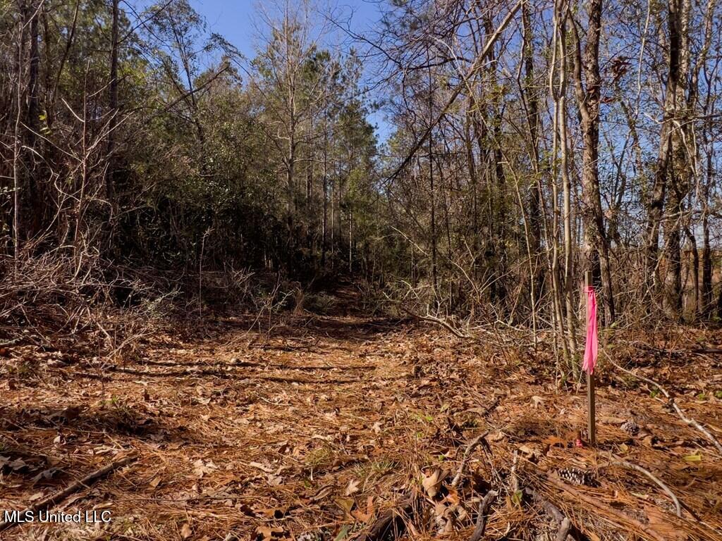 24 Nelson Road Poplarville, MS 39470 - Photo 25 of 43 25