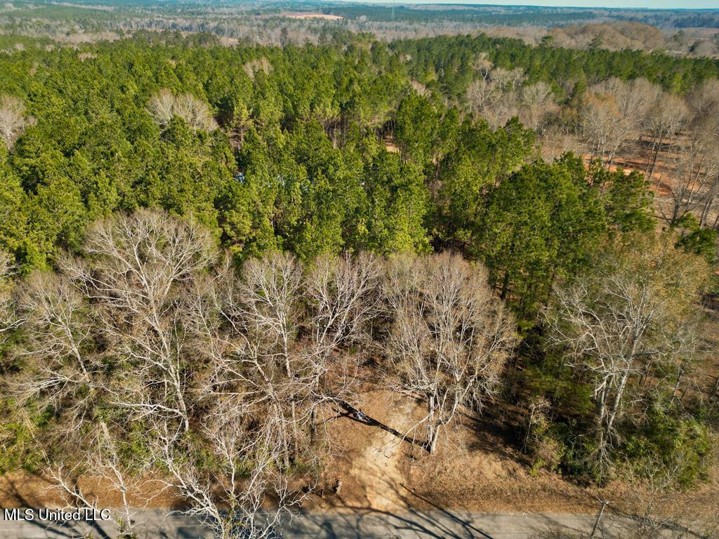 24 Nelson Road Poplarville, MS 39470 - Photo 26 of 43 26