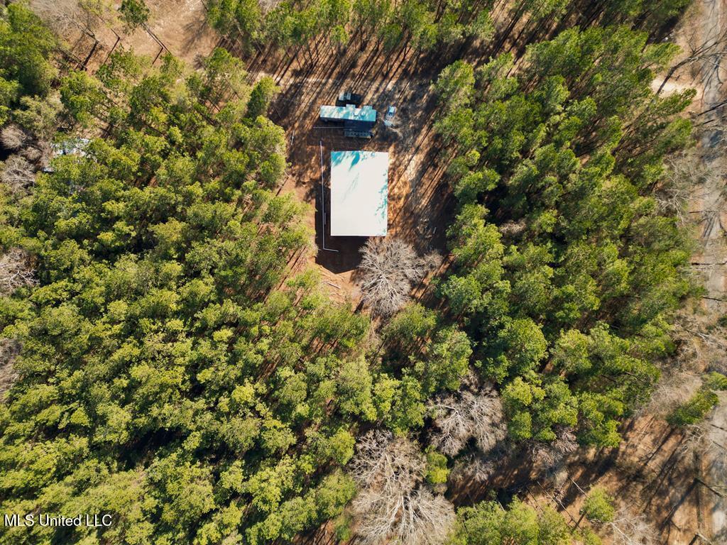 24 Nelson Road Poplarville, MS 39470 - Photo 28 of 43 28