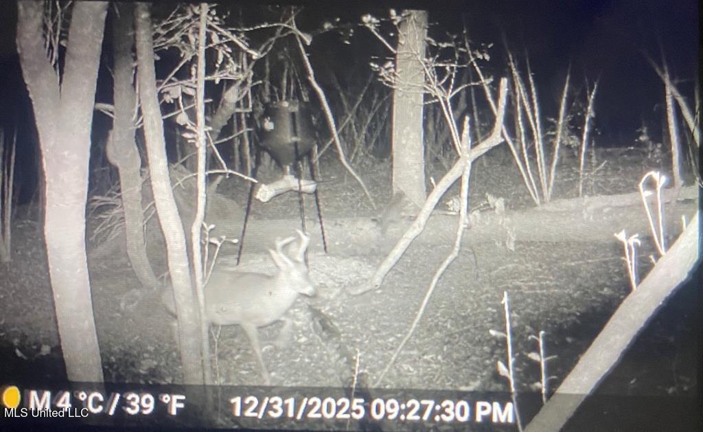 24 Nelson Road Poplarville, MS 39470 - Photo 31 of 43 31