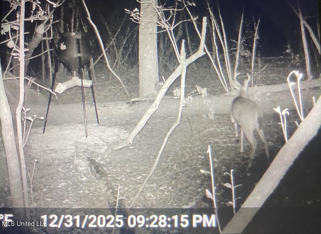 24 Nelson Road Poplarville, MS 39470 - Photo 32 of 43 32