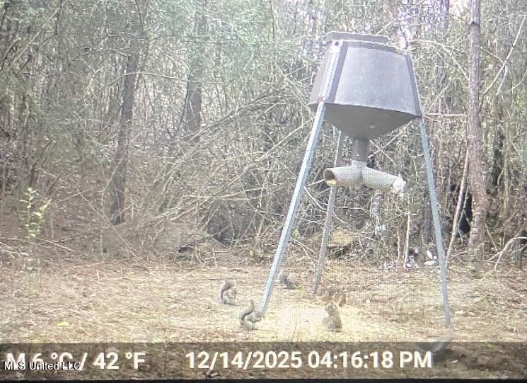 24 Nelson Road Poplarville, MS 39470 - Photo 35 of 43 35