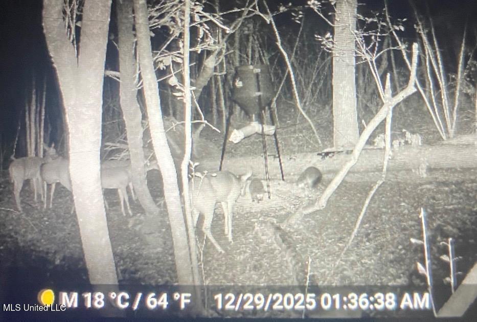 24 Nelson Road Poplarville, MS 39470 - Photo 37 of 43 37